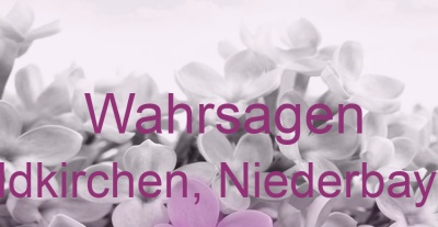 Wahrsagen Feldkirchen, Niederbayern | Top-Experten für Kartenlegen, Wahrsagen, Hellsehen, Zukunftsdeutung.